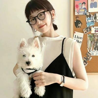 银幕上的展览：塞尚